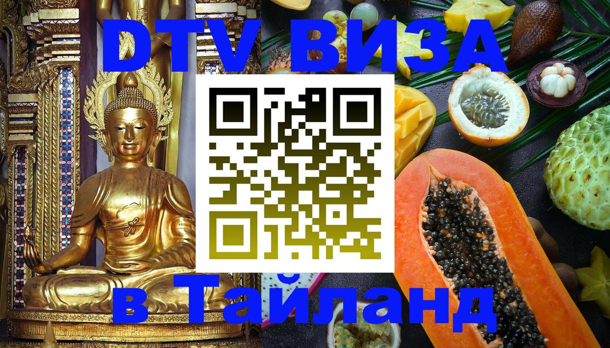 Оформление DTV визы под ключ: стоимость и тарифы, только загранпаспорт - 18.11.2025 